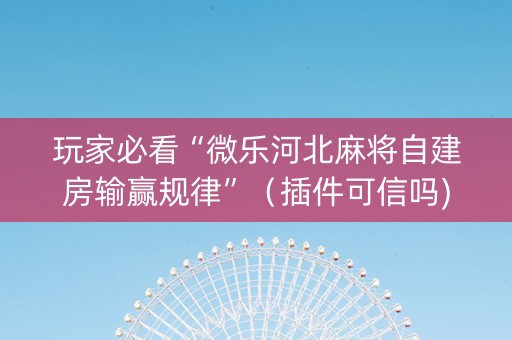 玩家必看“微乐河北麻将自建房输赢规律”（插件可信吗)