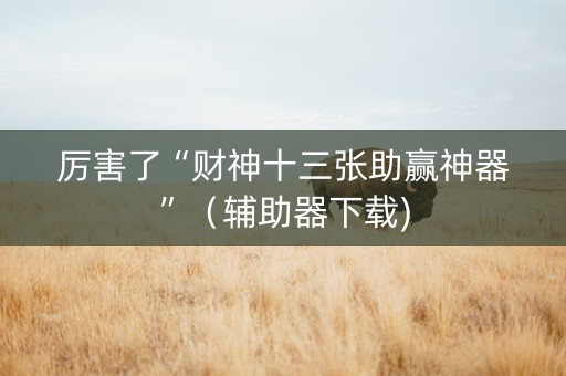 厉害了“财神十三张助赢神器”（辅助器下载)
