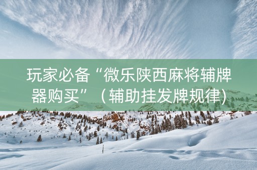 玩家必备“微乐陕西麻将辅牌器购买”（辅助挂发牌规律)