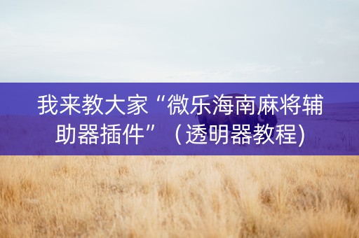 我来教大家“微乐海南麻将辅助器插件”（透明器教程)