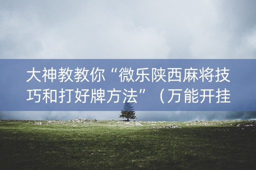 大神教教你“微乐陕西麻将技巧和打好牌方法”（万能开挂器)
