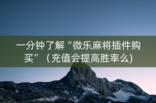 一分钟了解“微乐麻将插件购买”（充值会提高胜率么)