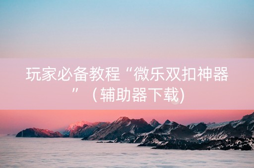 玩家必备教程“微乐双扣神器”（辅助器下载)