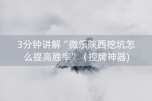 3分钟讲解“微乐陕西挖坑怎么提高胜率”（控牌神器)