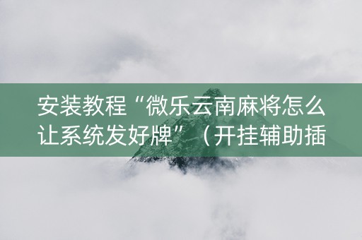 安装教程“微乐云南麻将怎么让系统发好牌”（开挂辅助插件)