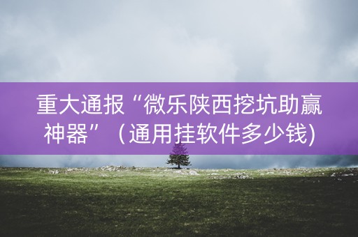 重大通报“微乐陕西挖坑助赢神器”（通用挂软件多少钱)