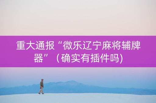 重大通报“微乐辽宁麻将辅牌器”（确实有插件吗)