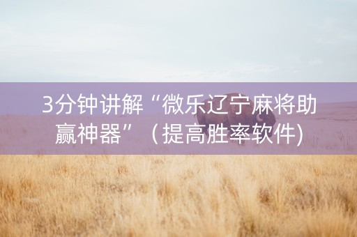 3分钟讲解“微乐辽宁麻将助赢神器”（提高胜率软件)