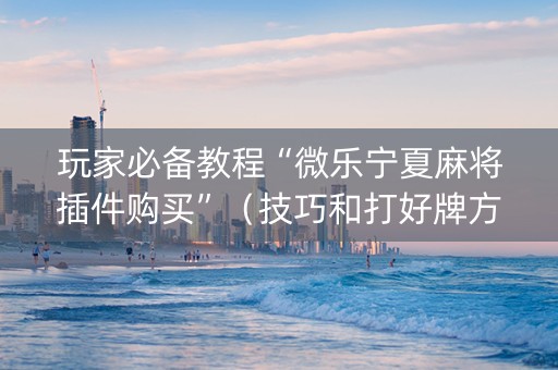 玩家必备教程“微乐宁夏麻将插件购买”（技巧和打好牌方法)