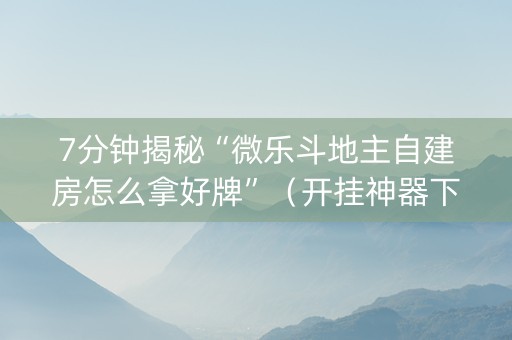7分钟揭秘“微乐斗地主自建房怎么拿好牌”（开挂神器下载)