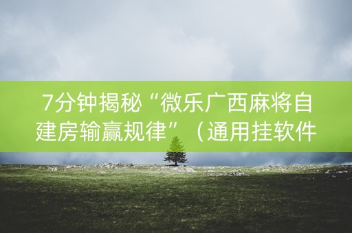 7分钟揭秘“微乐广西麻将自建房输赢规律”（通用挂软件多少钱)