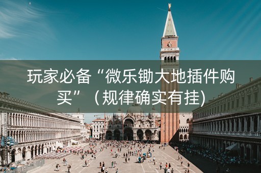 玩家必备“微乐锄大地插件购买”（规律确实有挂)