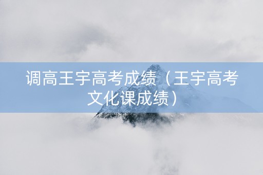 调高王宇高考成绩（王宇高考文化课成绩）