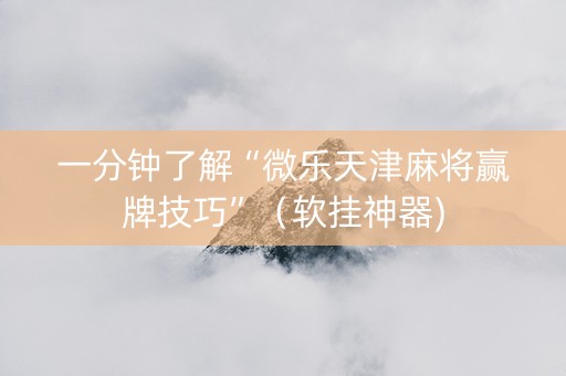 一分钟了解“微乐天津麻将赢牌技巧”（软挂神器)