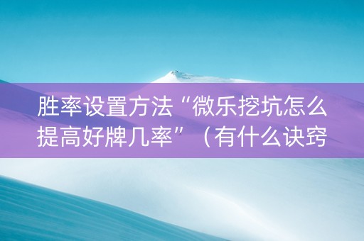 胜率设置方法“微乐挖坑怎么提高好牌几率”（有什么诀窍)