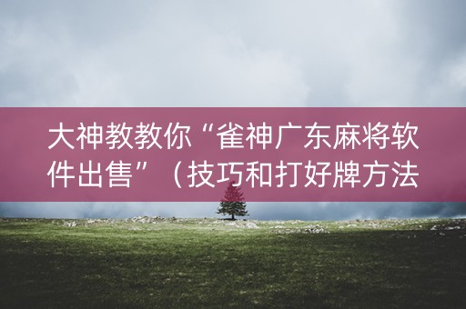 大神教教你“雀神广东麻将软件出售”（技巧和打好牌方法)
