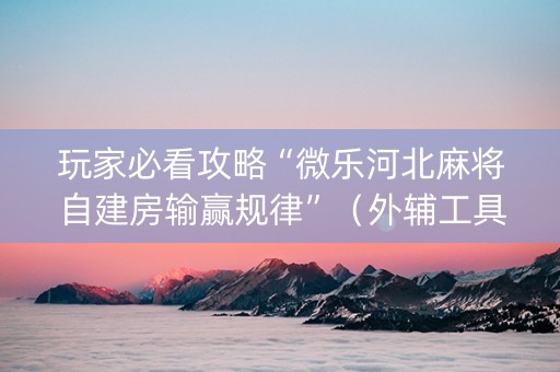玩家必看攻略“微乐河北麻将自建房输赢规律”（外辅工具)
