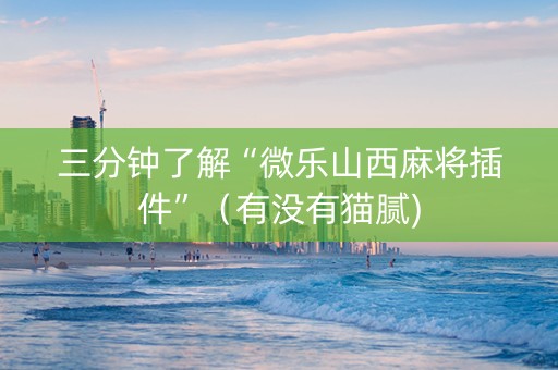 三分钟了解“微乐山西麻将插件”（有没有猫腻)