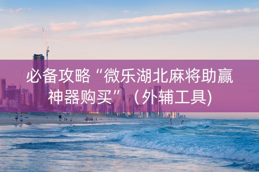 必备攻略“微乐湖北麻将助赢神器购买”（外辅工具)