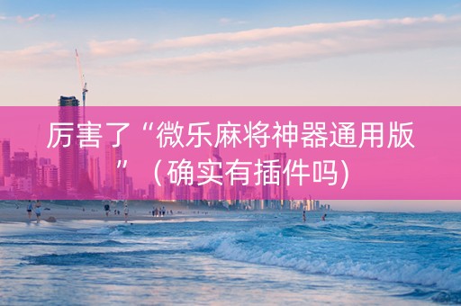 厉害了“微乐麻将神器通用版”（确实有插件吗)