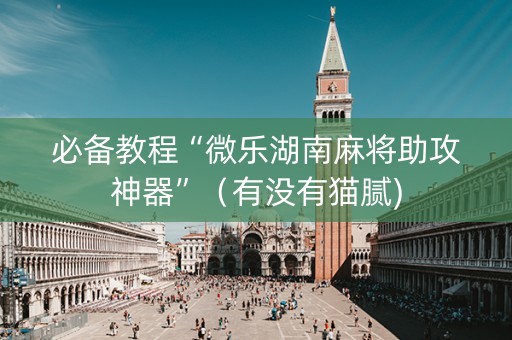 必备教程“微乐湖南麻将助攻神器”（有没有猫腻)