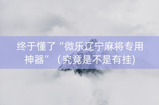 终于懂了“微乐辽宁麻将专用神器”（究竟是不是有挂)