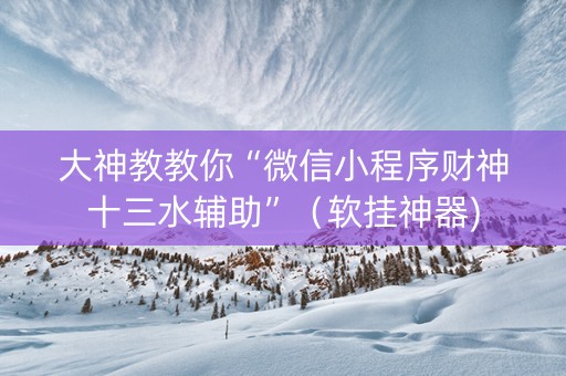 大神教教你“微信小程序财神十三水辅助”（软挂神器)