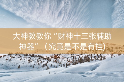 大神教教你“财神十三张辅助神器”（究竟是不是有挂)