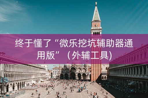 终于懂了“微乐挖坑辅助器通用版”（外辅工具)