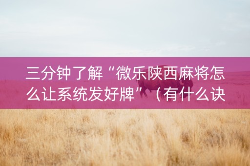 三分钟了解“微乐陕西麻将怎么让系统发好牌”（有什么诀窍)