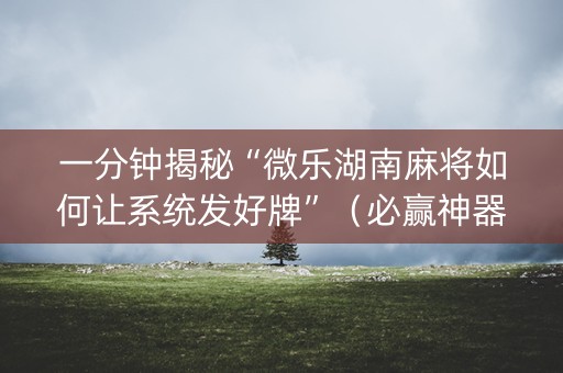 一分钟揭秘“微乐湖南麻将如何让系统发好牌”（必赢神器辅助器)
