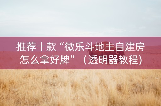 推荐十款“微乐斗地主自建房怎么拿好牌”（透明器教程)