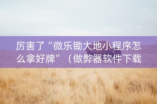 厉害了“微乐锄大地小程序怎么拿好牌”（做弊器软件下载)