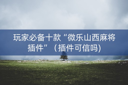 玩家必备十款“微乐山西麻将插件”（插件可信吗)