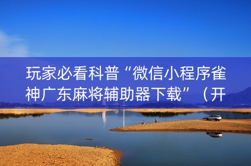玩家必看科普“微信小程序雀神广东麻将辅助器下载”（开挂辅助器插件)