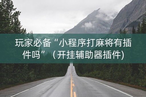 玩家必备“小程序打麻将有插件吗”（开挂辅助器插件)