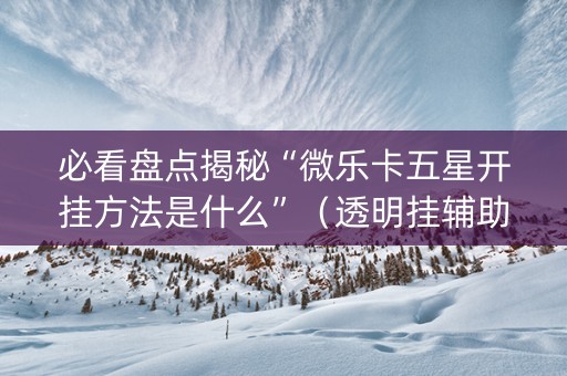 必看盘点揭秘“微乐卡五星开挂方法是什么”（透明挂辅助器)