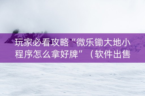 玩家必看攻略“微乐锄大地小程序怎么拿好牌”（软件出售)