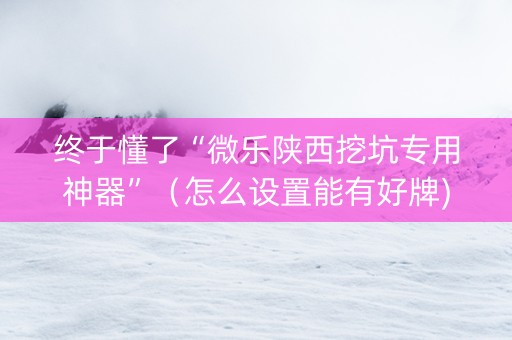 终于懂了“微乐陕西挖坑专用神器”（怎么设置能有好牌)