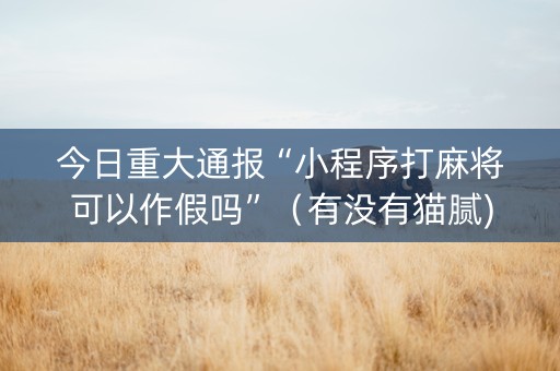 今日重大通报“小程序打麻将可以作假吗”（有没有猫腻)