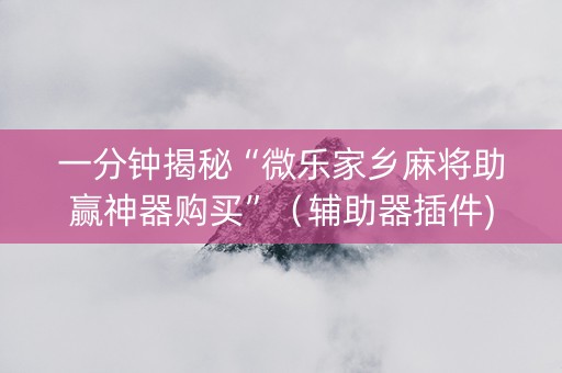 一分钟揭秘“微乐家乡麻将助赢神器购买”（辅助器插件)