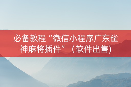 必备教程“微信小程序广东雀神麻将插件”（软件出售)