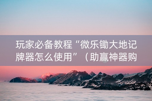 玩家必备教程“微乐锄大地记牌器怎么使用”（助赢神器购买)