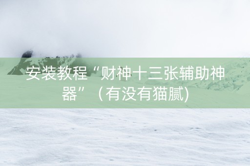 安装教程“财神十三张辅助神器”（有没有猫腻)
