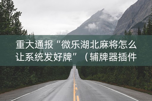 重大通报“微乐湖北麻将怎么让系统发好牌”（辅牌器插件购买)