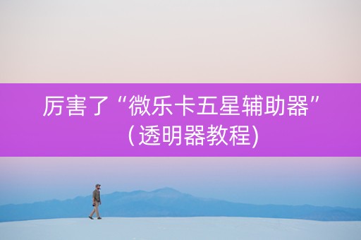 厉害了“微乐卡五星辅助器”（透明器教程)