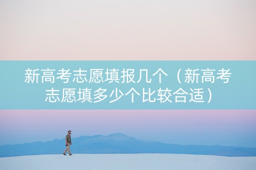 新高考志愿填报几个（新高考志愿填多少个比较合适）