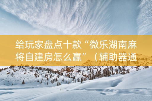 给玩家盘点十款“微乐湖南麻将自建房怎么赢”（辅助器通用版)