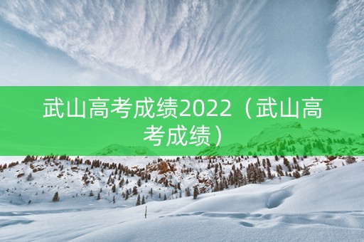 武山高考成绩2022（武山高考成绩）