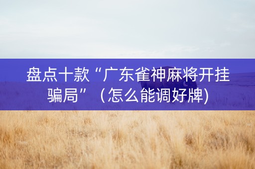 盘点十款“广东雀神麻将开挂骗局”（怎么能调好牌)